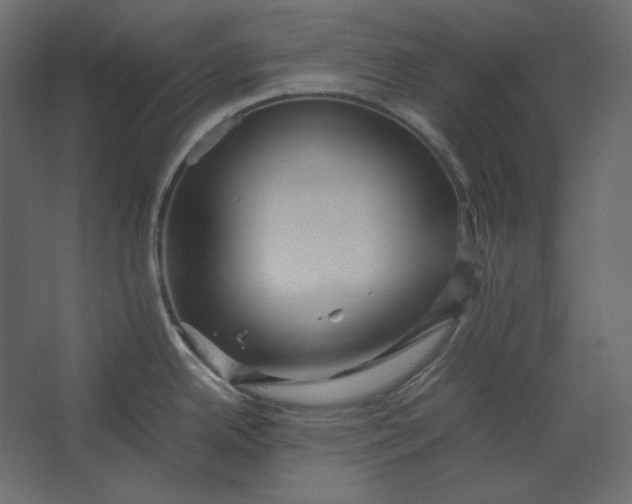 X0000067481342200604211623