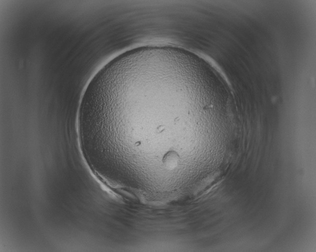 X0000067481343200604211623