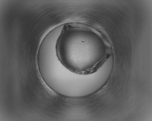 X0000067481344200604211623