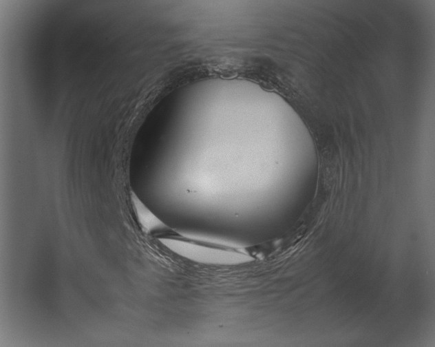 X0000067481345200604211622