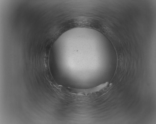 X0000067481346200604211622