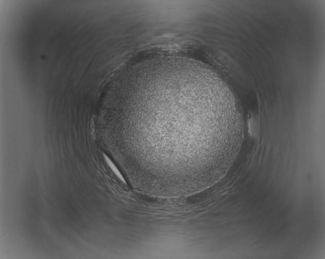 X0000067481347200604211622