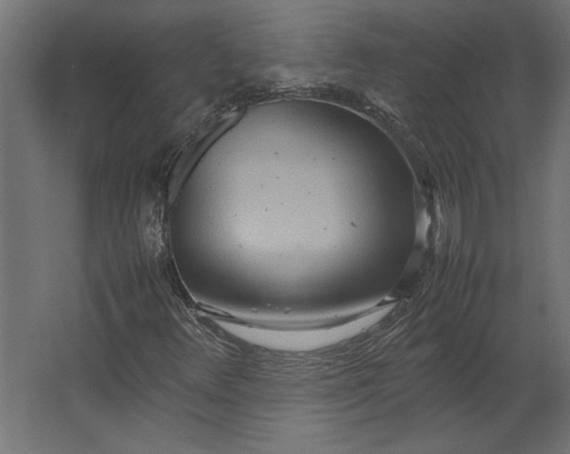 X0000067481348200604211622