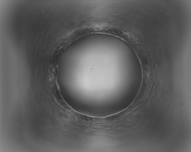 X0000067481349200604211622