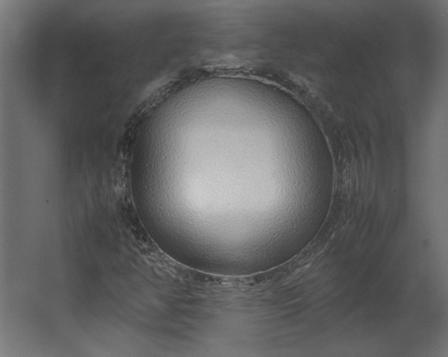 X0000067481350200604211622