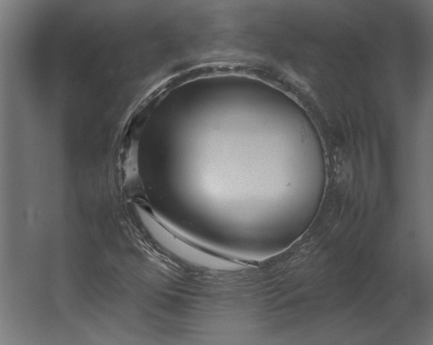 X0000067481352200604211622