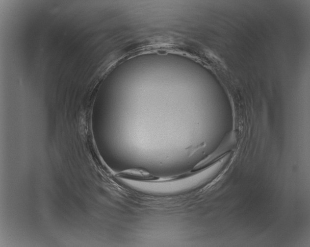 X0000067481353200604211622