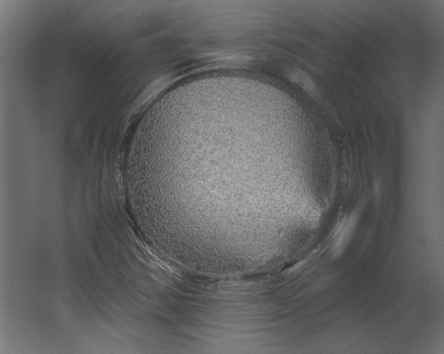 X0000067481354200604211622