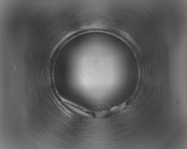 X0000067481356200604211622