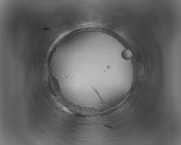 X0000067481358200604211622