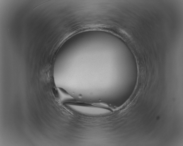 X0000067481361200604211622