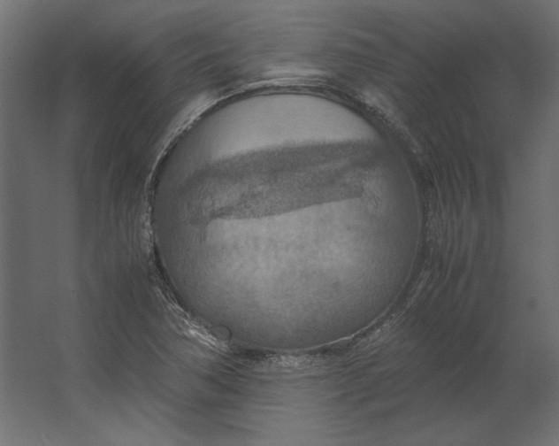 X0000067481362200604211622