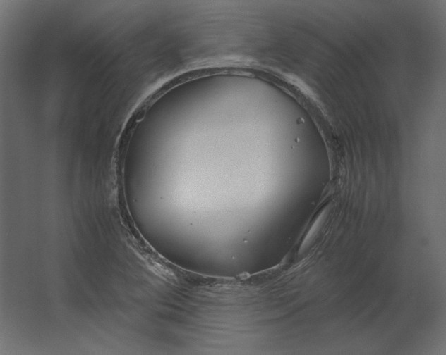 X0000067481364200604211622