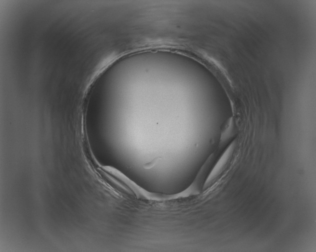 X0000067481365200604211622