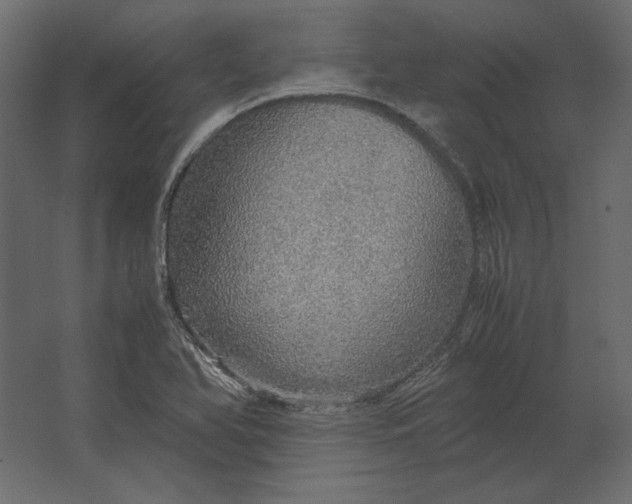 X0000067481366200604211622