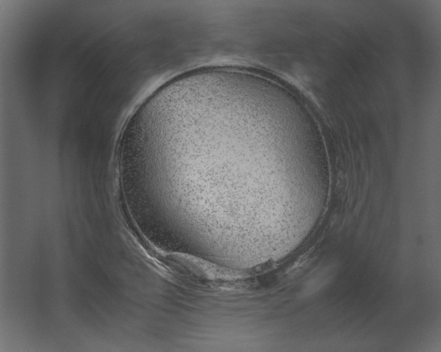 X0000067481367200604211622