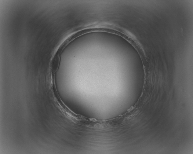 X0000067481368200604211622