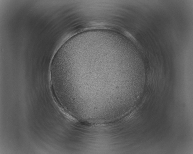 X0000067481370200604211622