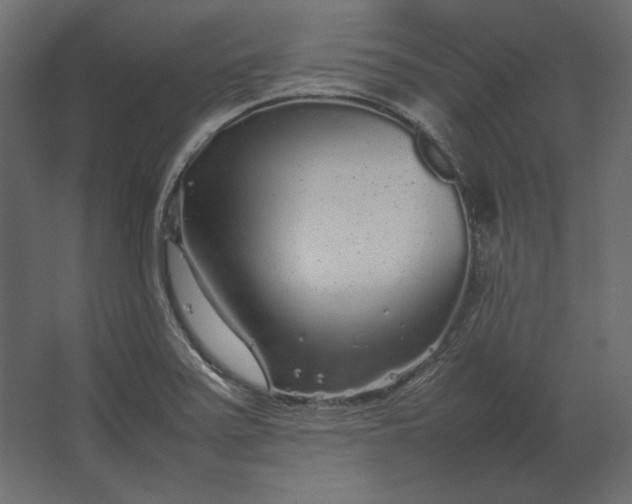 X0000067481371200604211622