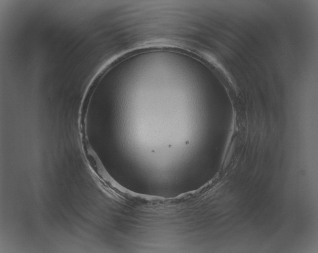 X0000067481372200604211622