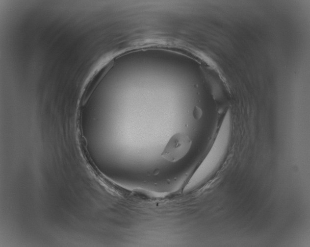 X0000067481373200604211622