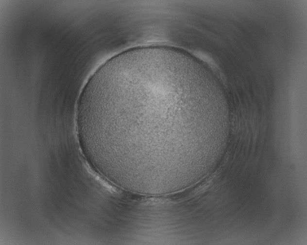 X0000067481374200604211622