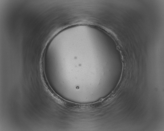 X0000067481375200604211622