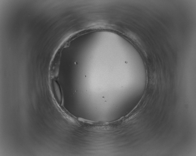 X0000067481376200604211622