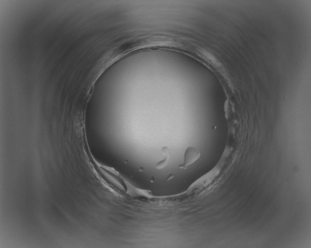 X0000067481377200604211622