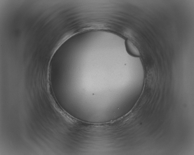 X0000067481378200604211622