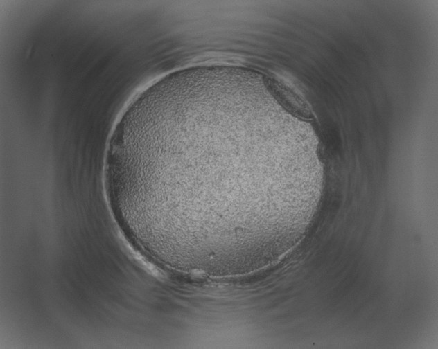 X0000067481379200604211622