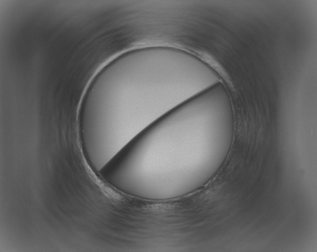 X0000067481380200604211622