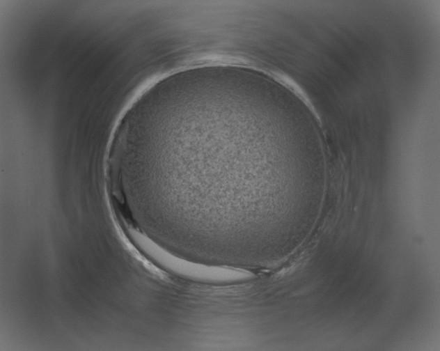 X0000067481381200604211622