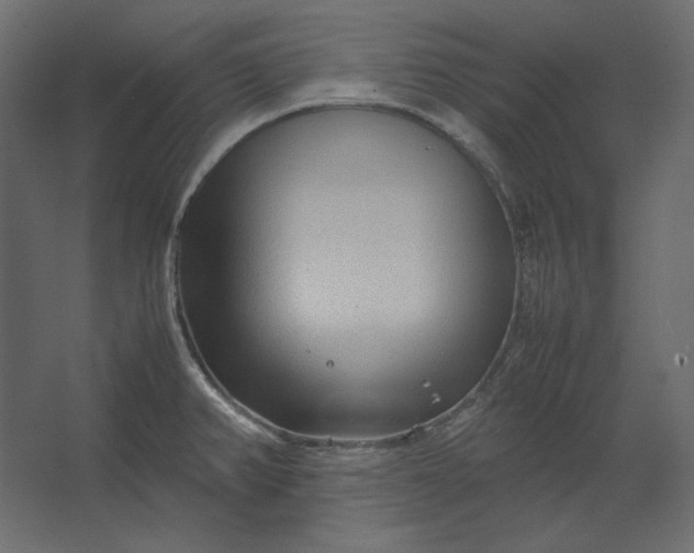 X0000067481382200604211622