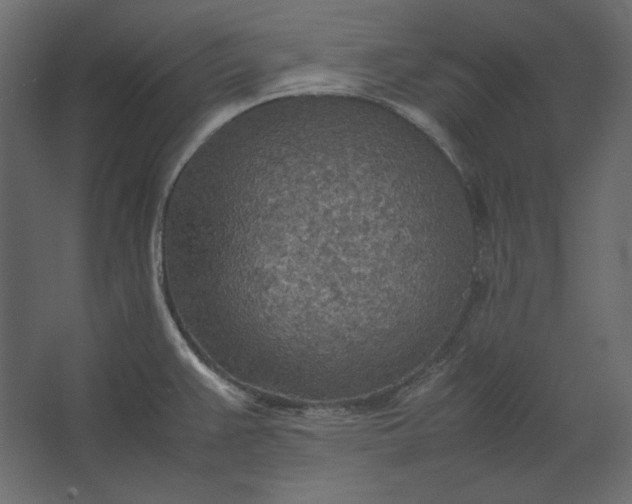 X0000067481383200604211622