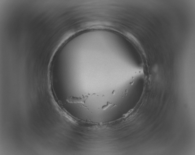 X0000067481384200604211622