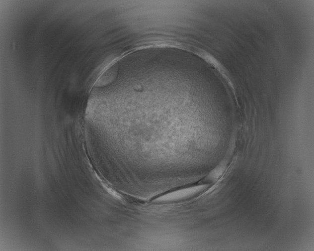 X0000067481385200604211622