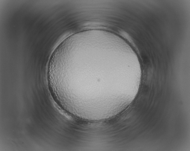 X0000067481386200604211622