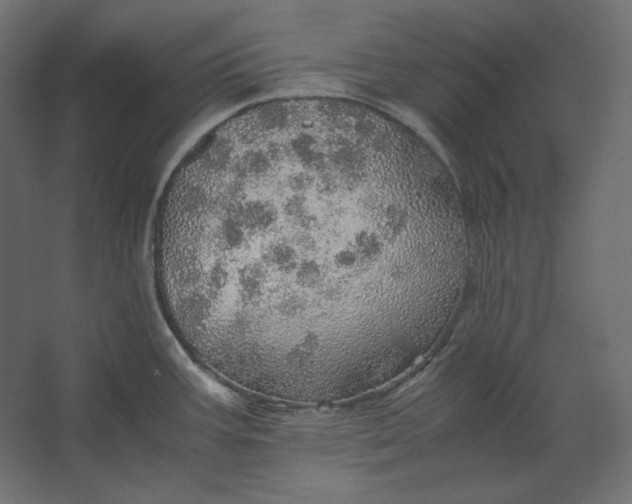 X0000067481387200604211621