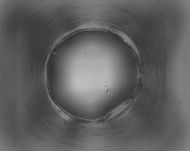 X0000067481388200604211621