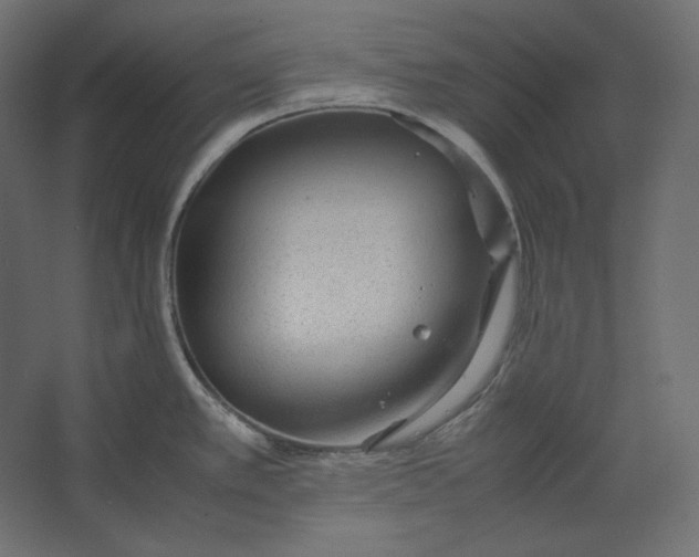 X0000067481389200604211621