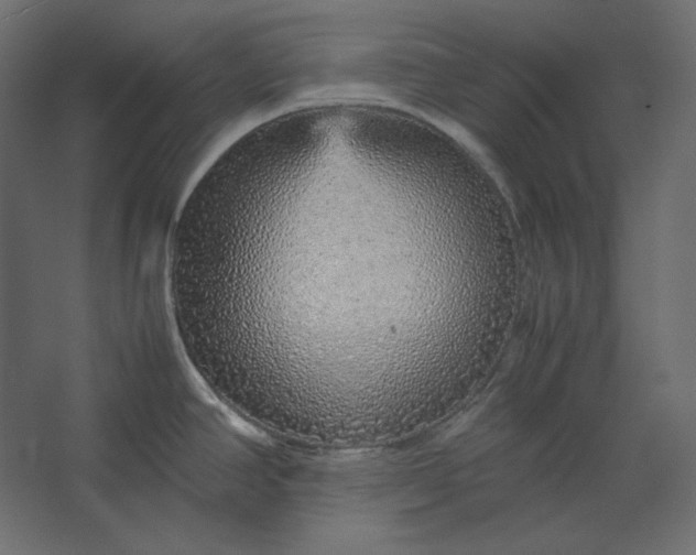 X0000067481390200604211621