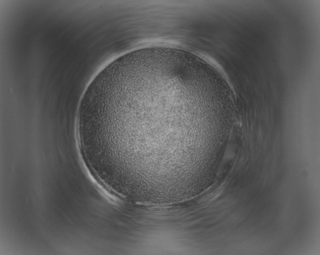 X0000067481391200604211621