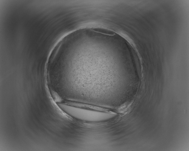 X0000067481392200604211621