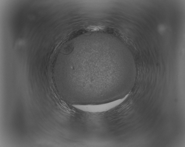 X0000067481393200604211621