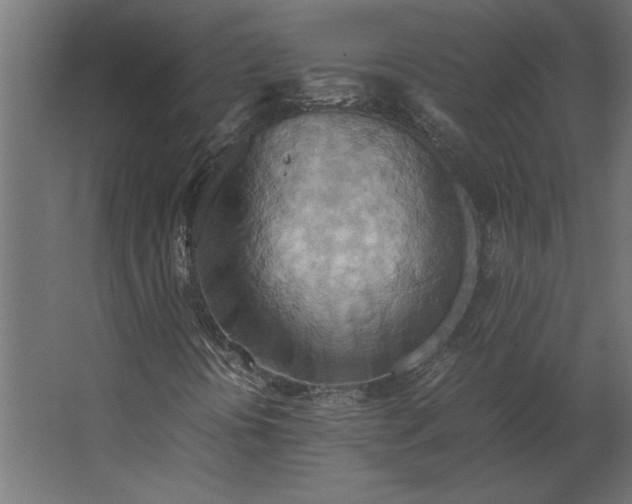 X0000067481394200604211621