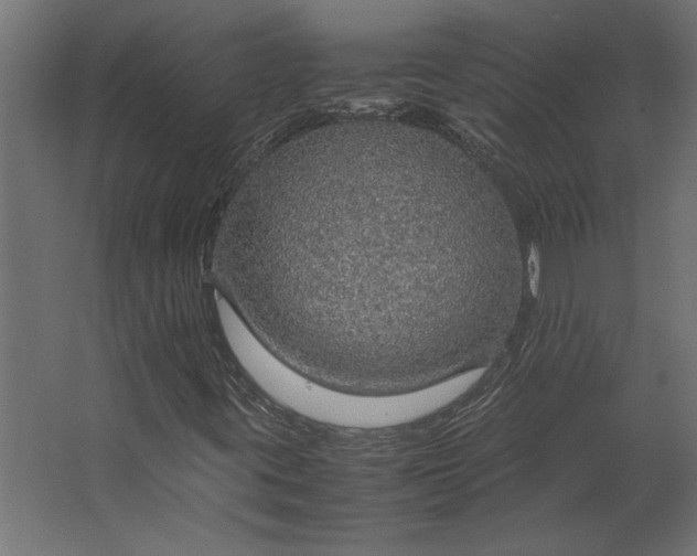 X0000067481395200604211621