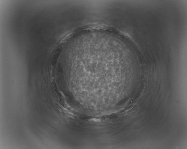 X0000067481399200604211621