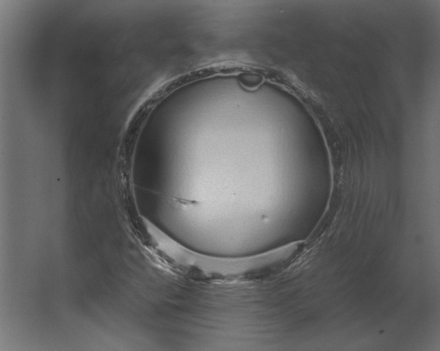 X0000067481400200604211621