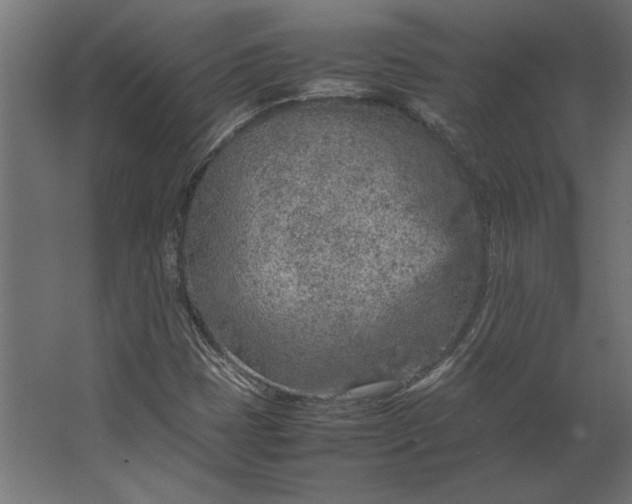 X0000067481401200604211621